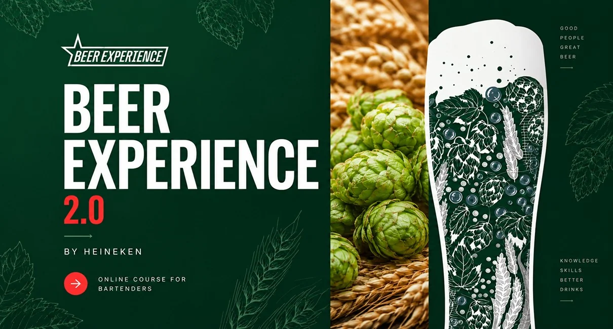 Beer Experience by HEINEKEN — онлайн-курс для барменов