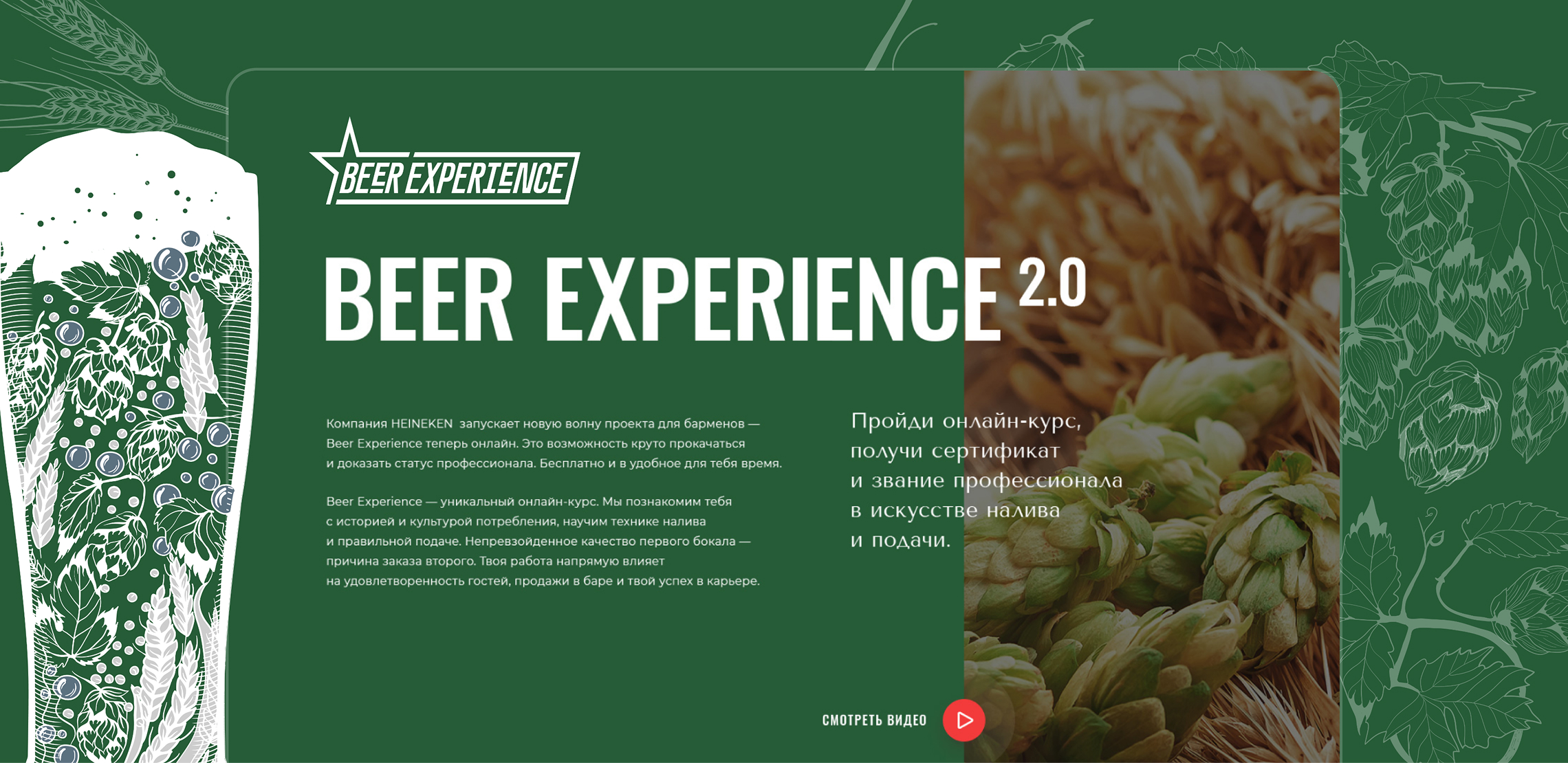 Beer Experience by HEINEKEN
