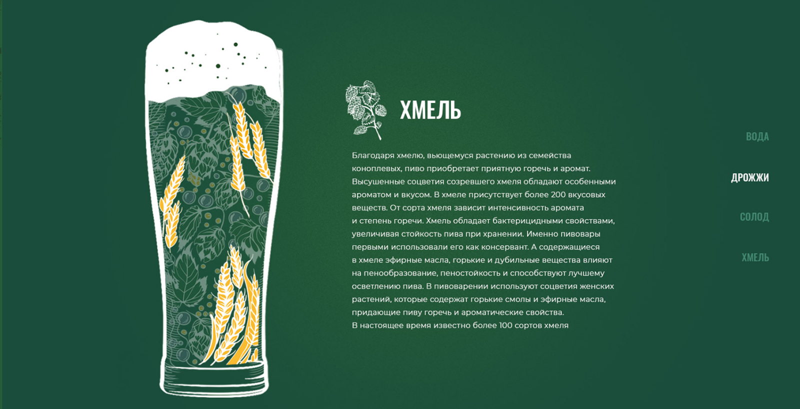 Дополнительный интерфейс — Beer Experience by HEINEKEN