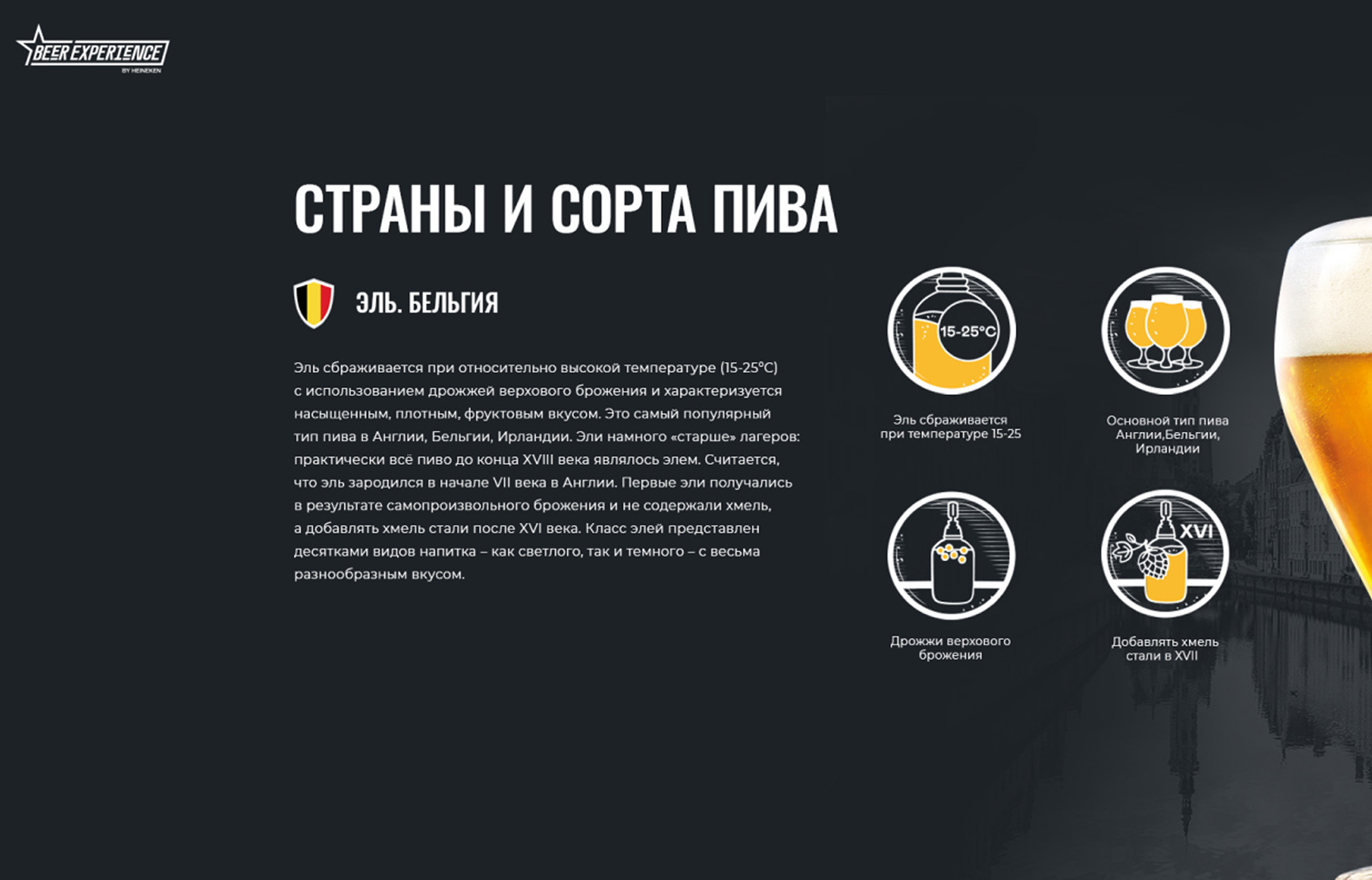 Дополнительный интерфейс — Beer Experience by HEINEKEN